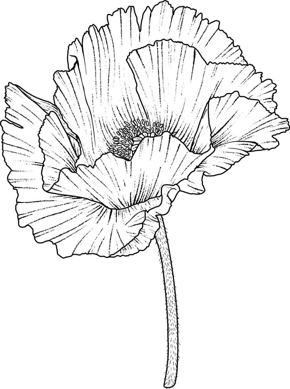 Modern Bouquet Preservation | The Botanical Bouquet UK
